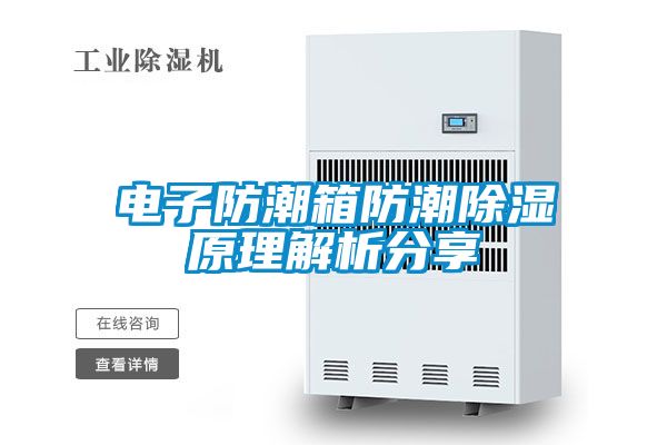 电子防潮箱防潮香蕉视频国产APP下载原理解析分享