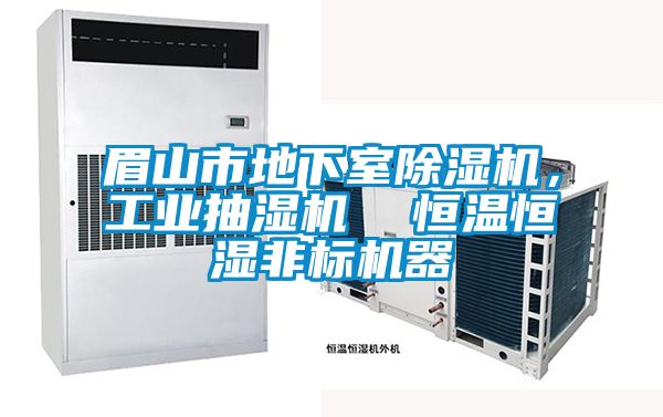 眉山市地下室香蕉视频国产APP下载机，工业抽湿机  恒温恒湿非标机器