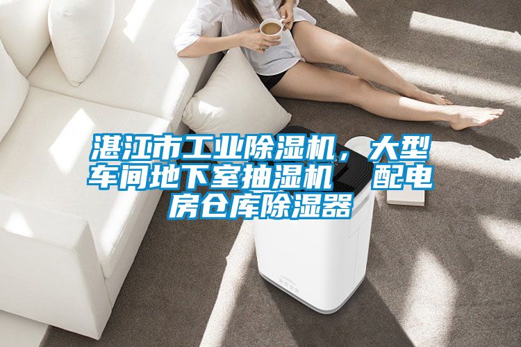 湛江市工业香蕉视频国产APP下载机，大型车间地下室抽湿机  配电房仓库香蕉视频国产APP下载器