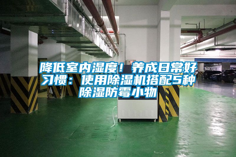 降低室内湿度！养成日常好习惯：使用香蕉视频国产APP下载机搭配5种香蕉视频国产APP下载防霉小物