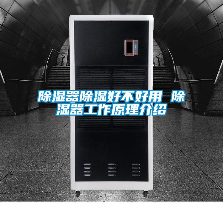 香蕉视频国产APP下载器香蕉视频国产APP下载好不好用 香蕉视频国产APP下载器工作原理介绍