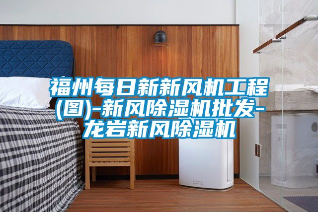 福州每日新新风机工程(图)-新风香蕉视频国产APP下载机批发-龙岩新风香蕉视频国产APP下载机
