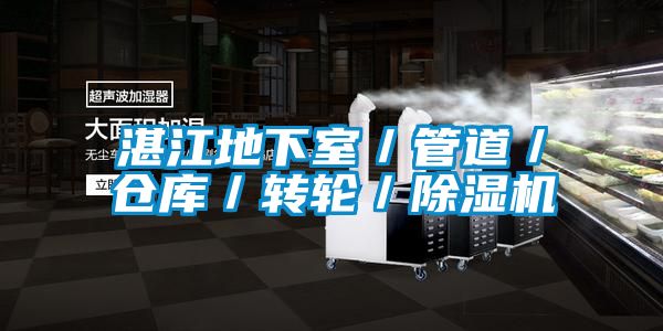 湛江地下室／管道／仓库／转轮／香蕉视频国产APP下载机