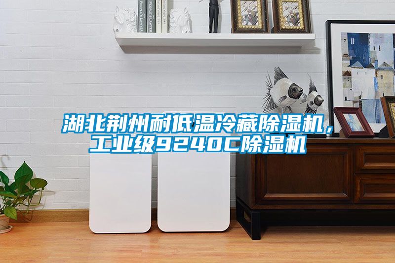 湖北荆州耐低温冷藏香蕉视频国产APP下载机，工业级9240C香蕉视频国产APP下载机