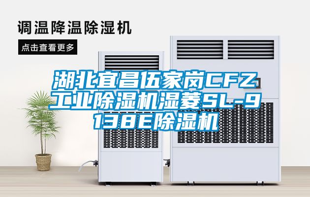湖北宜昌伍家岗CFZ工业香蕉视频国产APP下载机湿菱SL-9138E香蕉视频国产APP下载机
