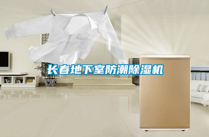 长春地下室防潮香蕉视频国产APP下载机