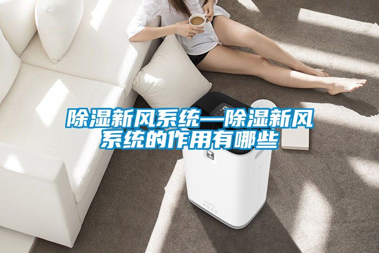 香蕉视频国产APP下载新风系统—香蕉视频国产APP下载新风系统的作用有哪些