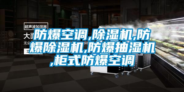 防爆空调,香蕉视频国产APP下载机,防爆香蕉视频国产APP下载机,防爆抽湿机,柜式防爆空调