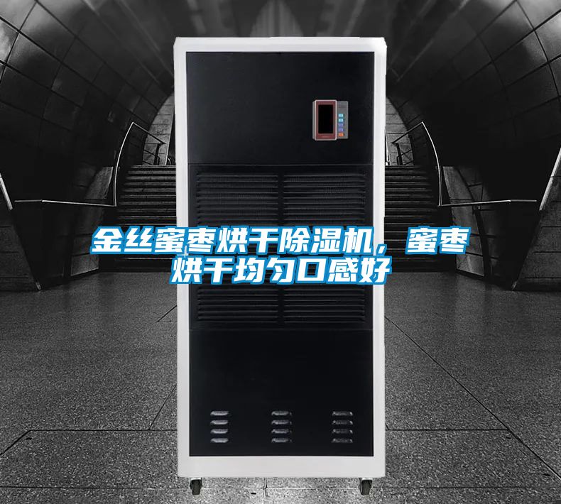 金丝蜜枣烘干香蕉视频国产APP下载机，蜜枣烘干均匀口感好
