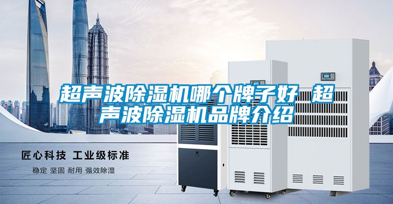 超声波香蕉视频国产APP下载机哪个牌子好 超声波香蕉视频国产APP下载机品牌介绍