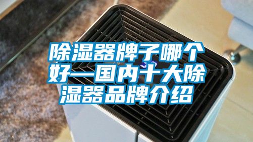 香蕉视频国产APP下载器牌子哪个好—国内十大香蕉视频国产APP下载器品牌介绍