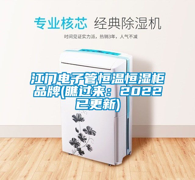 江门电子管恒温恒湿柜品牌(瞧过来：2022已更新)