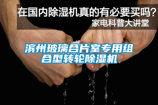 滨州玻璃合片室专用组合型转轮香蕉视频国产APP下载机