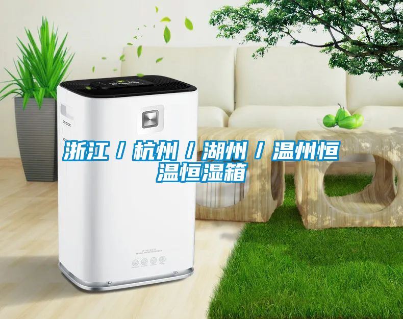 浙江／杭州／湖州／温州恒温恒湿箱