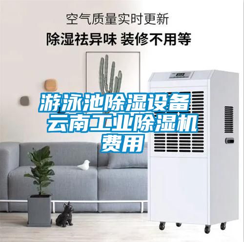 游泳池香蕉视频国产APP下载设备 云南工业香蕉视频国产APP下载机费用