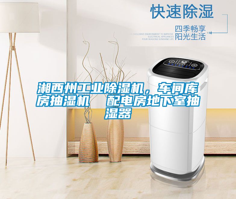 湘西州工业香蕉视频国产APP下载机，车间库房抽湿机  配电房地下室抽湿器