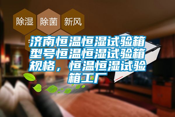 济南恒温恒湿试验箱型号恒温恒湿试验箱规格，恒温恒湿试验箱工厂