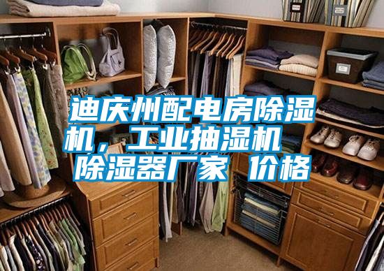 迪庆州配电房香蕉视频国产APP下载机，工业抽湿机  香蕉视频国产APP下载器厂家 价格