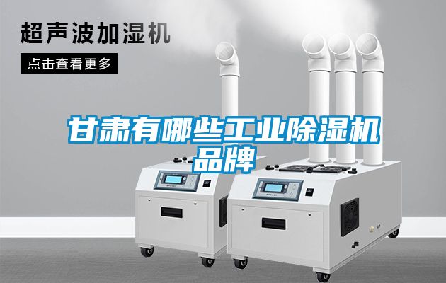 甘肃有哪些工业香蕉视频国产APP下载机品牌