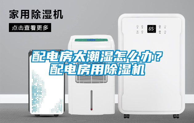 配电房太潮湿怎么办？配电房用香蕉视频国产APP下载机
