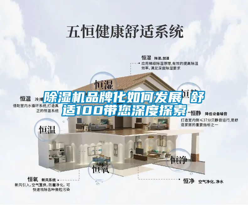 香蕉视频国产APP下载机品牌化如何发展　　舒适100带您深度探索