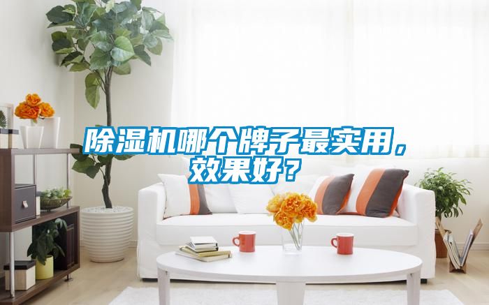 香蕉视频国产APP下载机哪个牌子最实用，效果好？