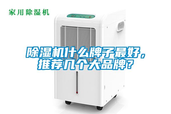 香蕉视频国产APP下载机什么牌子最好，推荐几个大品牌？