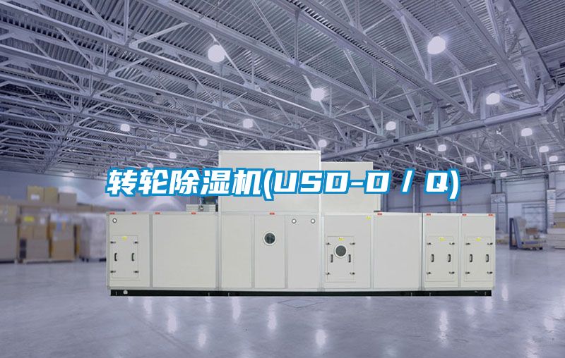 转轮香蕉视频国产APP下载机(USD-D／Q)