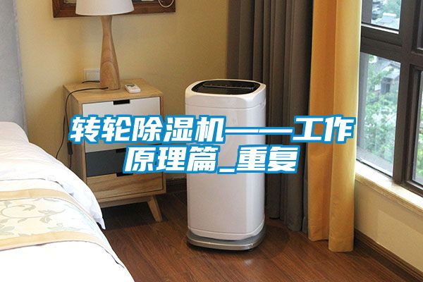 转轮香蕉视频国产APP下载机——工作原理篇_重复