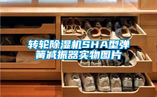 转轮香蕉视频国产APP下载机SHA型弹簧减振器实物图片