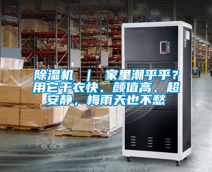 香蕉视频国产APP下载机 ｜ 家里潮乎乎？用它干衣快、颜值高、超安静，梅雨天也不愁