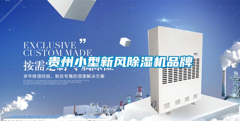 贵州小型新风香蕉视频国产APP下载机品牌