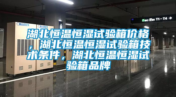 湖北恒温恒湿试验箱价格，湖北恒温恒湿试验箱技术条件，湖北恒温恒湿试验箱品牌