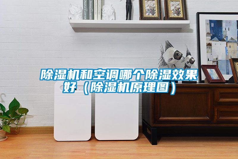 香蕉视频国产APP下载机和空调哪个香蕉视频国产APP下载效果好（香蕉视频国产APP下载机原理图）