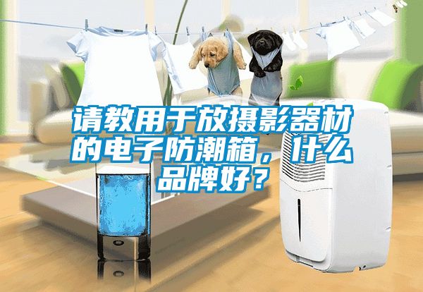 请教用于放摄影器材的电子防潮箱，什么品牌好？