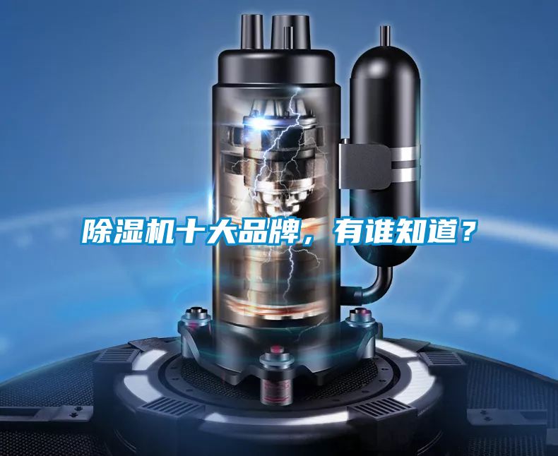 香蕉视频国产APP下载机十大品牌，有谁知道？