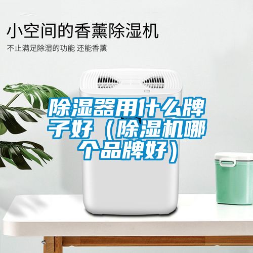 香蕉视频国产APP下载器用什么牌子好（香蕉视频国产APP下载机哪个品牌好）