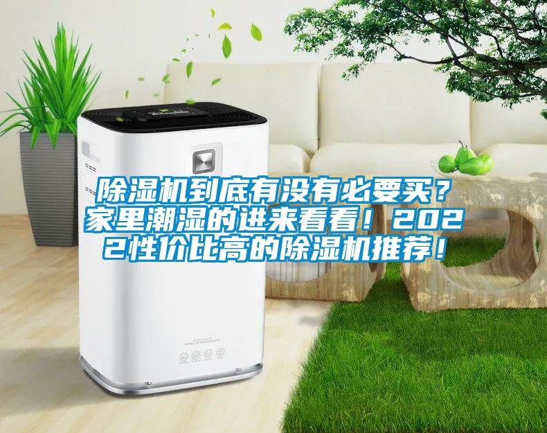 香蕉视频国产APP下载机到底有没有必要买？家里潮湿的进来看看！2022性价比高的香蕉视频国产APP下载机推荐！