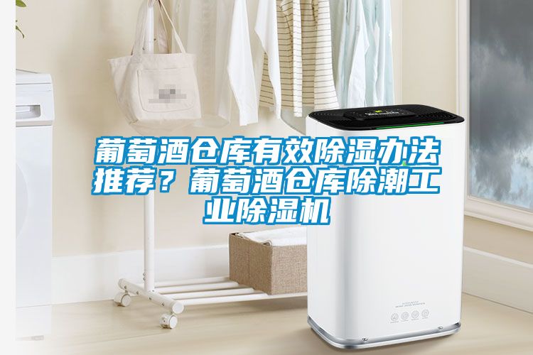葡萄酒仓库有效香蕉视频国产APP下载办法推荐？葡萄酒仓库除潮工业香蕉视频国产APP下载机