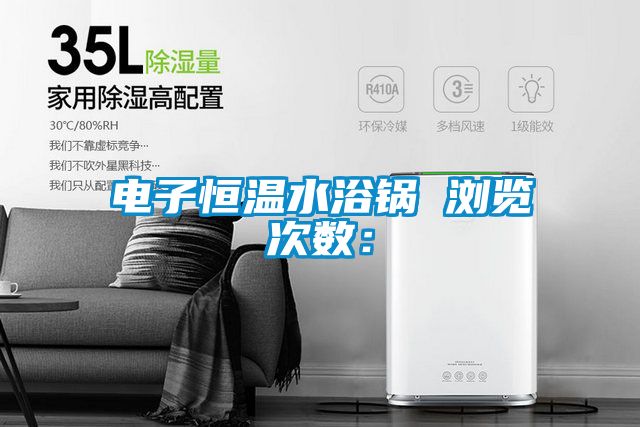 电子恒温水浴锅　　浏览次数：
