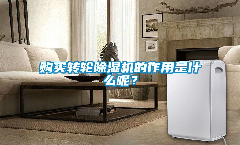 购买转轮香蕉视频国产APP下载机的作用是什么呢？