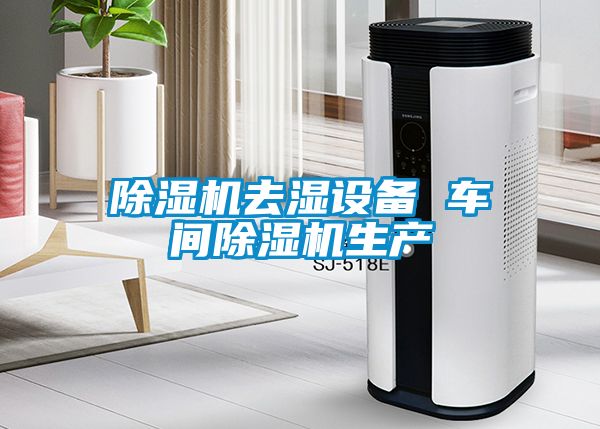 香蕉视频国产APP下载机去湿设备 车间香蕉视频国产APP下载机生产