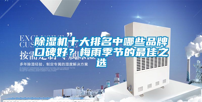 香蕉视频国产APP下载机十大排名中哪些品牌口碑好？梅雨季节的最佳之选