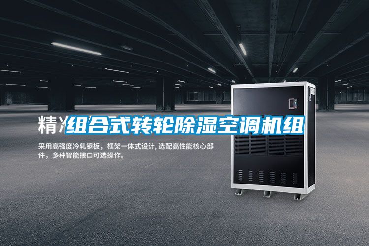 组合式转轮香蕉视频国产APP下载空调机组