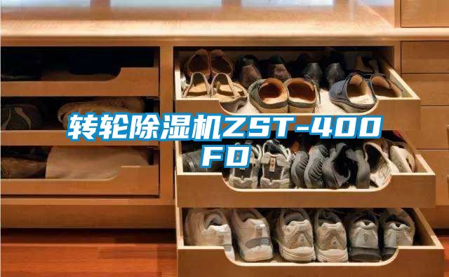 转轮香蕉视频国产APP下载机ZST-400FD