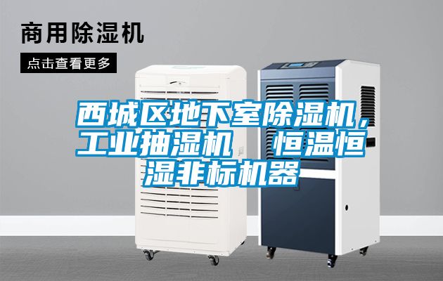 西城区地下室香蕉视频国产APP下载机，工业抽湿机  恒温恒湿非标机器