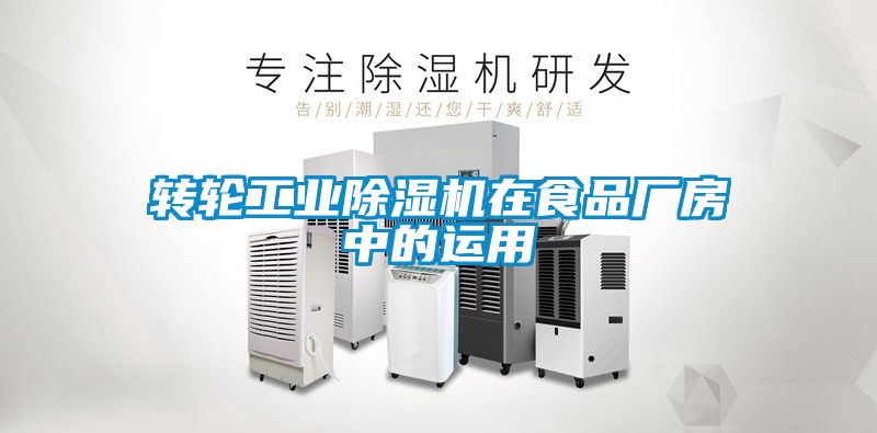 转轮工业香蕉视频国产APP下载机在食品厂房中的运用