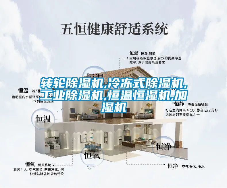 转轮香蕉视频国产APP下载机,冷冻式香蕉视频国产APP下载机,工业香蕉视频国产APP下载机,恒温恒湿机,加湿机