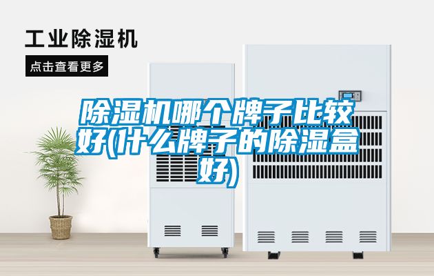 香蕉视频国产APP下载机哪个牌子比较好(什么牌子的香蕉视频国产APP下载盒好)