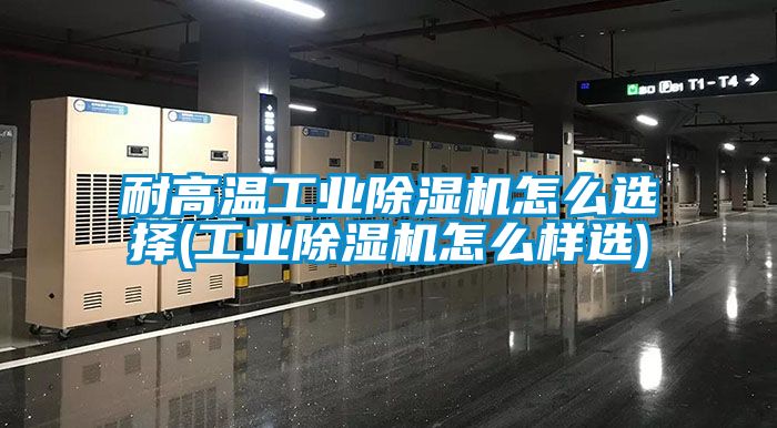 耐高温工业香蕉视频国产APP下载机怎么选择(工业香蕉视频国产APP下载机怎么样选)